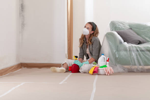 Reliable Bathroom Mold Removal contractor in York Haven, PA by WQB Mold Removal
