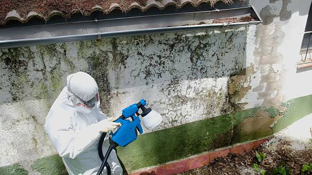 Top rated local Bathroom Mold Removal specialists in York Haven, PA